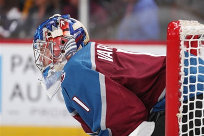 Semyon Varlamov Poster 3557669
