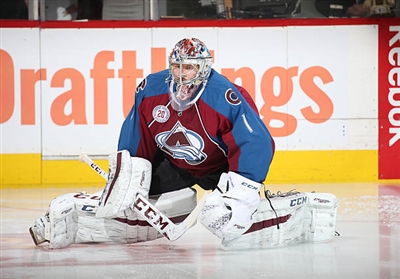 Semyon Varlamov Poster 3557670