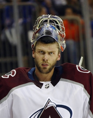 Semyon Varlamov Poster 3557671
