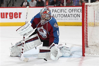 Semyon Varlamov Poster 3557673