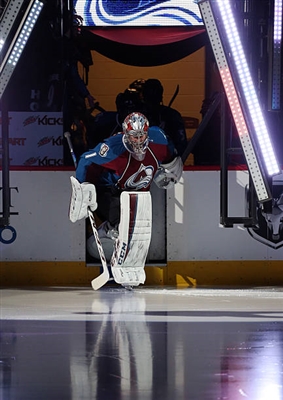 Semyon Varlamov Poster 3557674