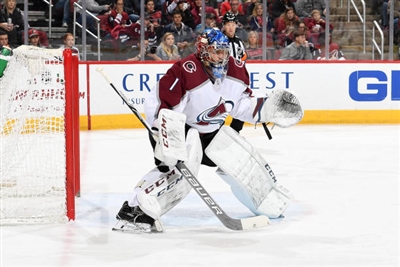 Semyon Varlamov Poster 3557675
