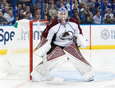 Semyon Varlamov Poster 3557678