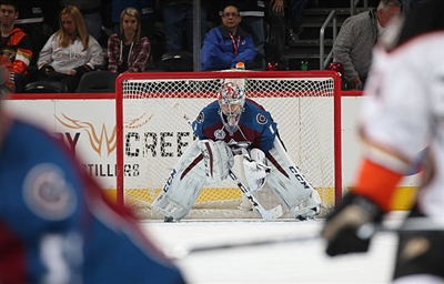 Semyon Varlamov Poster 3557679