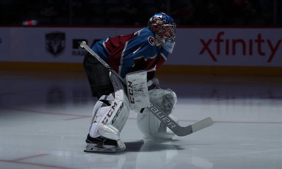 Semyon Varlamov Poster 3557680