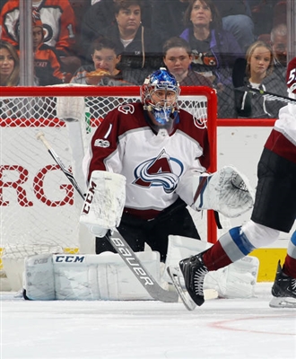 Semyon Varlamov Poster 3557683
