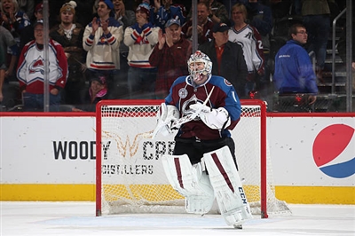 Semyon Varlamov Poster 3557684