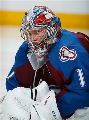 Semyon Varlamov Poster 3557685