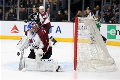 Semyon Varlamov Poster 3557686