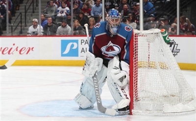 Semyon Varlamov Poster 3557687