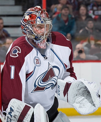 Semyon Varlamov Poster 3557689