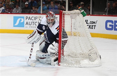 Semyon Varlamov Poster 3557695