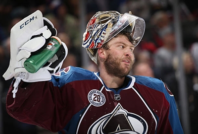 Semyon Varlamov Poster 3557697