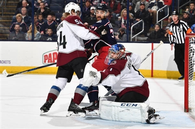 Semyon Varlamov Poster 3557698