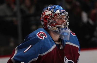 Semyon Varlamov Poster 3557699