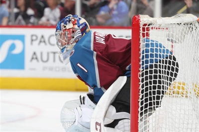 Semyon Varlamov Poster 3557702