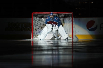 Semyon Varlamov Poster 3557710