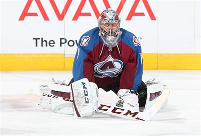 Semyon Varlamov Poster 3557711
