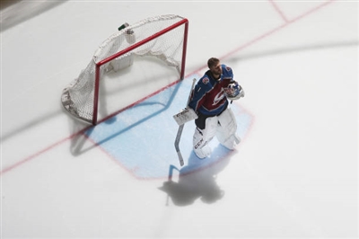 Semyon Varlamov Poster 3557712