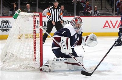 Semyon Varlamov Poster 3557713