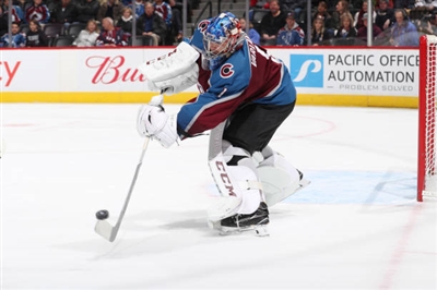 Semyon Varlamov Poster 3557717