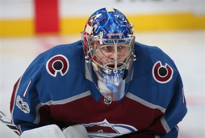 Semyon Varlamov Poster 3557718