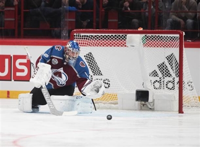 Semyon Varlamov Poster 3557719