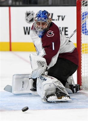 Semyon Varlamov Poster 3557721