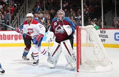Semyon Varlamov Poster 3557722