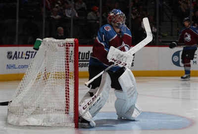 Semyon Varlamov Poster 3557723
