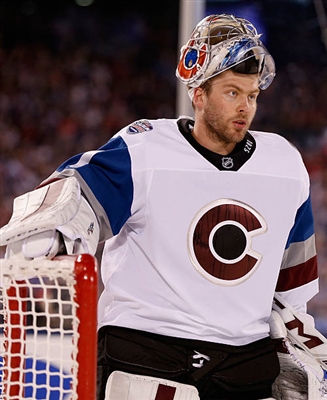 Semyon Varlamov Poster 3557724