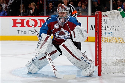 Semyon Varlamov Poster 3557725