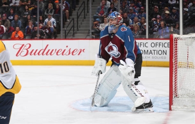 Semyon Varlamov Poster 3557727