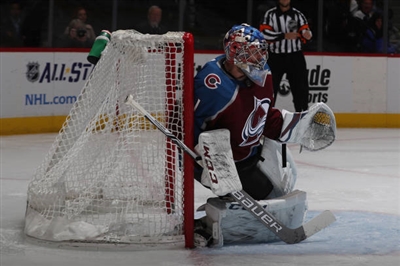Semyon Varlamov Poster 3557728