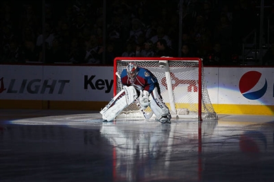 Semyon Varlamov Poster 3557729
