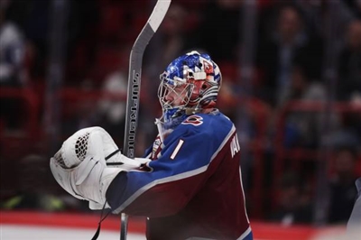 Semyon Varlamov Poster 3557731