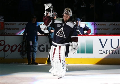 Semyon Varlamov Poster 3557732