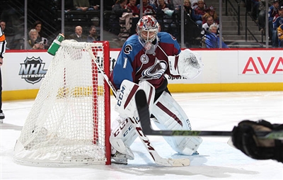 Semyon Varlamov Poster 3557734