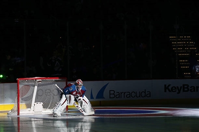 Semyon Varlamov Poster 3557736