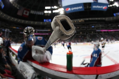 Semyon Varlamov Poster 3557737