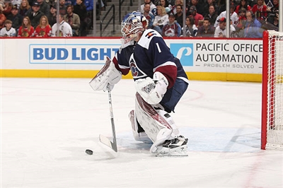Semyon Varlamov Poster 3557738
