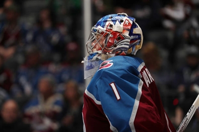 Semyon Varlamov Poster 3557739