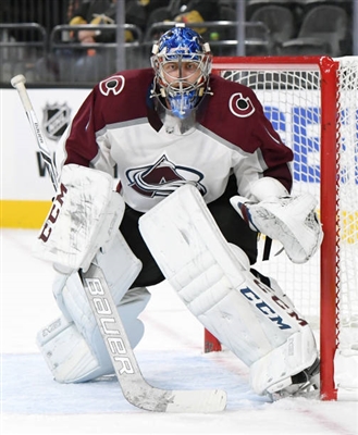 Semyon Varlamov Poster 3557741