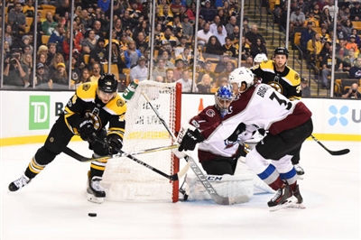 Semyon Varlamov Poster 3557743