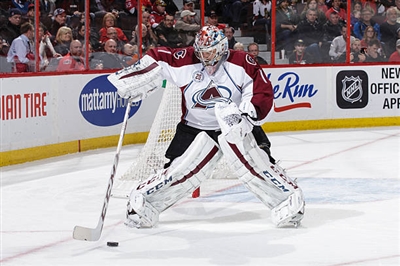 Semyon Varlamov Poster 3557744