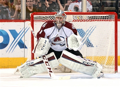 Semyon Varlamov Poster 3557745