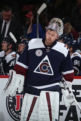 Semyon Varlamov Poster 3557747