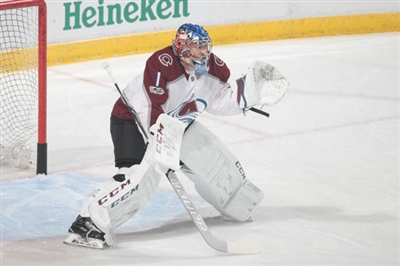 Semyon Varlamov Poster 3557749