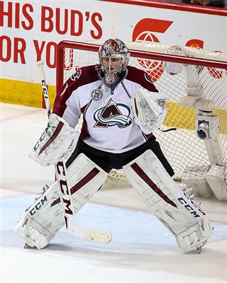 Semyon Varlamov Poster 3557751