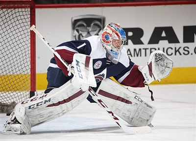 Semyon Varlamov Poster 3557752